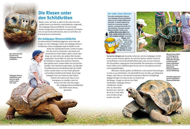 Entdecke die Schildkröten